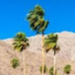 Meet your Posher, Lynnae